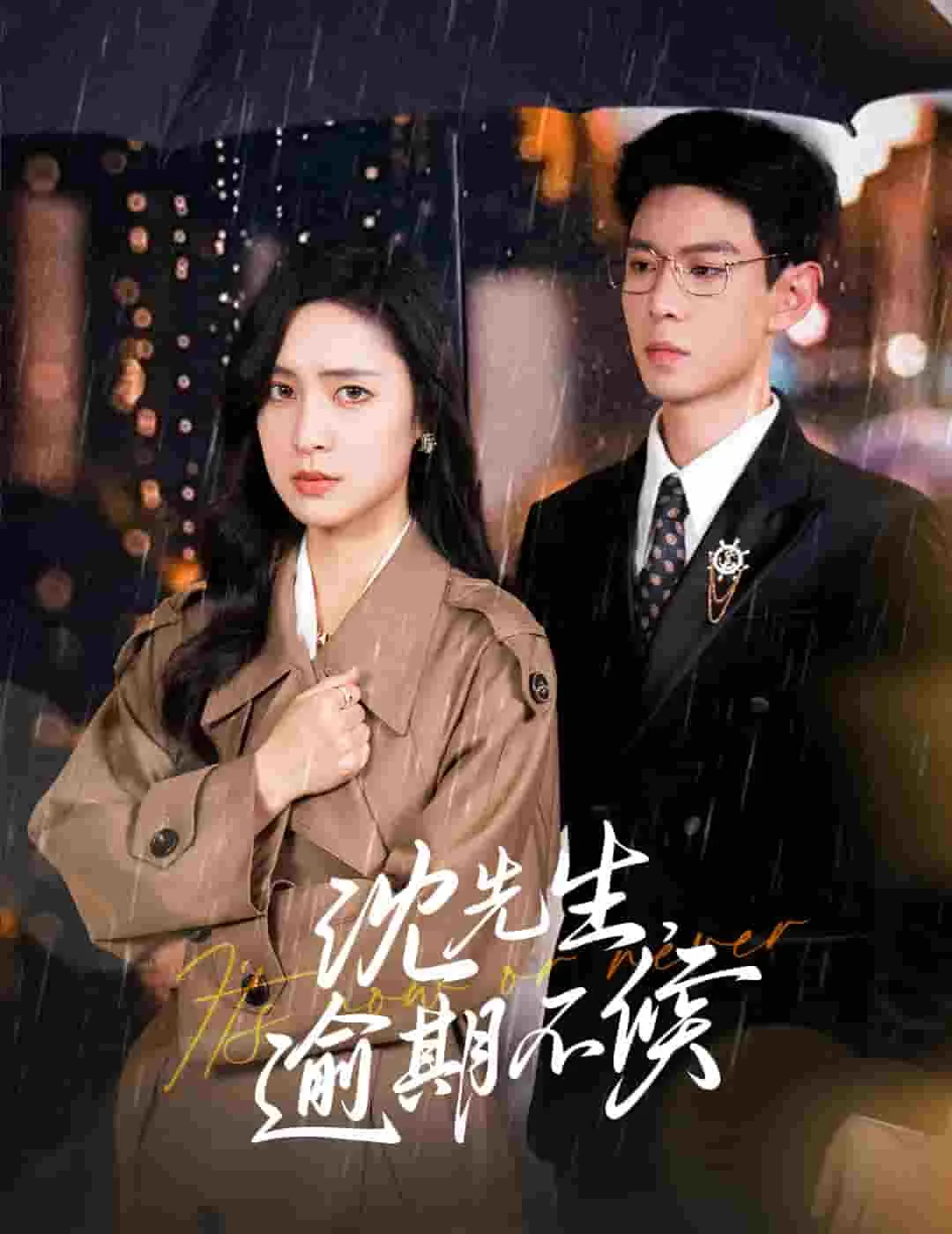 沈先生逾期不候短剧全集