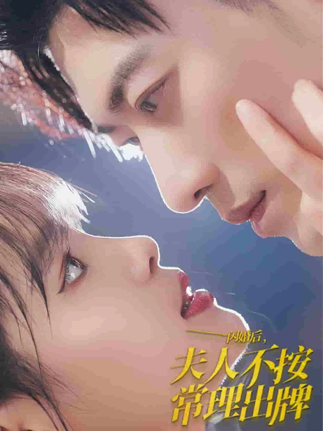 闪婚后夫人不按常理出牌剧情介绍