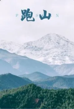 跑山车型排名