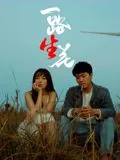 一路生花mp3下载