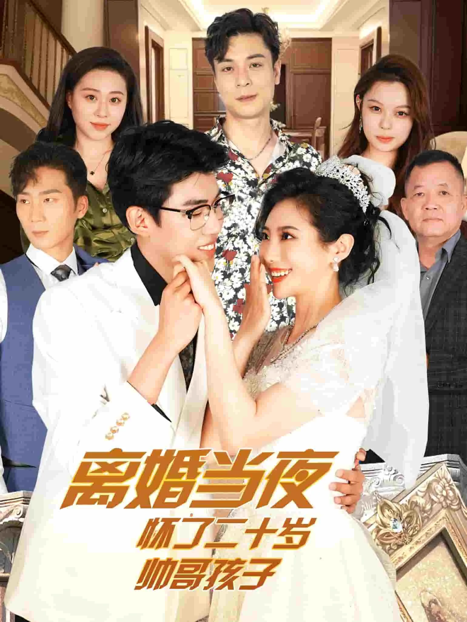 离婚当夜怀了二十岁帅哥妻子