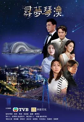 寻梦琴澳有多少集