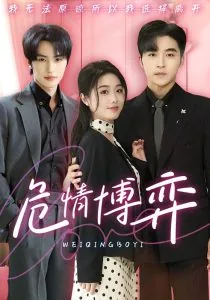 危情博弈讲的是什么故事