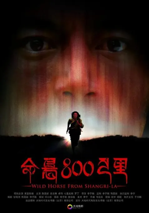 命悬800公里评价