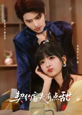契约盲夫有点甜短剧夸克资源