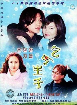 乞丐王子简介