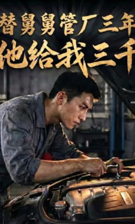 替舅舅管厂三年他给我三千块