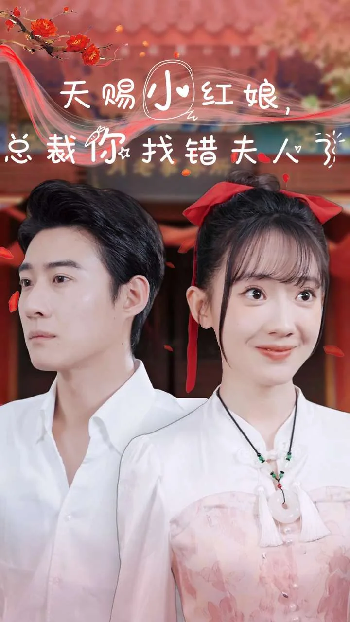 赵振栋 天赐小红娘,总裁你找错夫人了