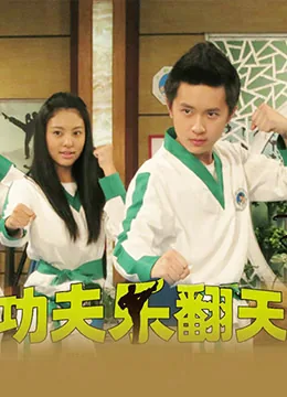 功夫乐翻天游戏机打法和技巧