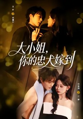 大小姐你的忠犬嫁到短剧免费观看