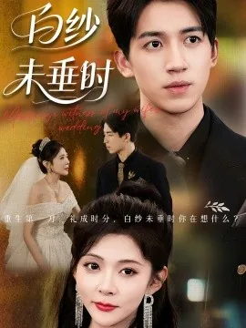 老婆婚礼我当证婚人短剧免费观看