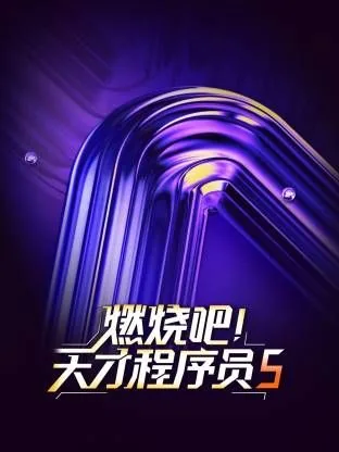 燃烧吧 程序员