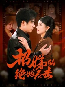 卷帘待得月华生 剧情