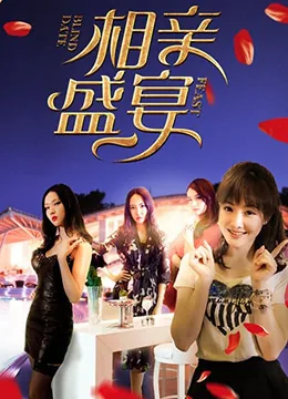 小说相亲宴