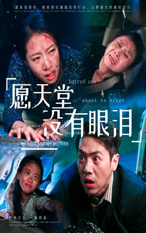 愿天堂没有眼泪大结局