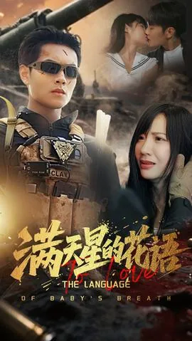 满天星的花语和寓意是什么