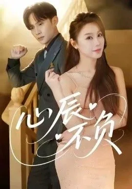 心辰不负电视剧