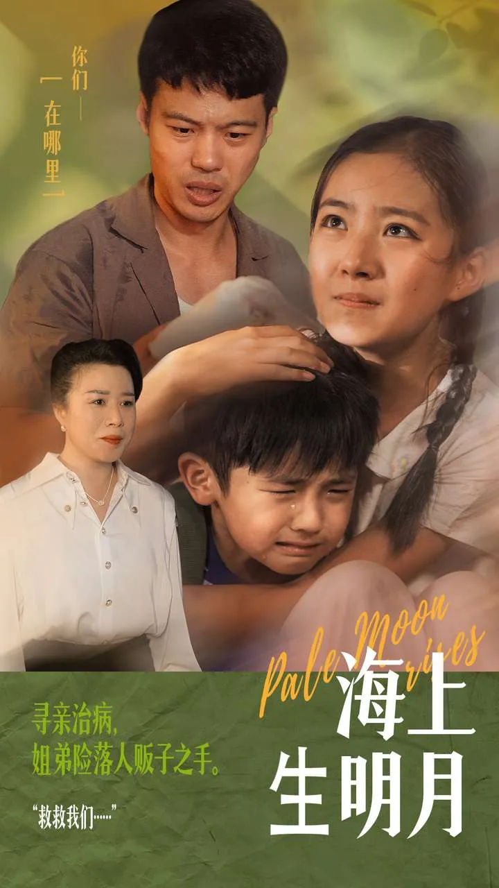 海上生明月女主播的背景故事
