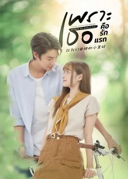 致我们单纯的小美好 1080p
