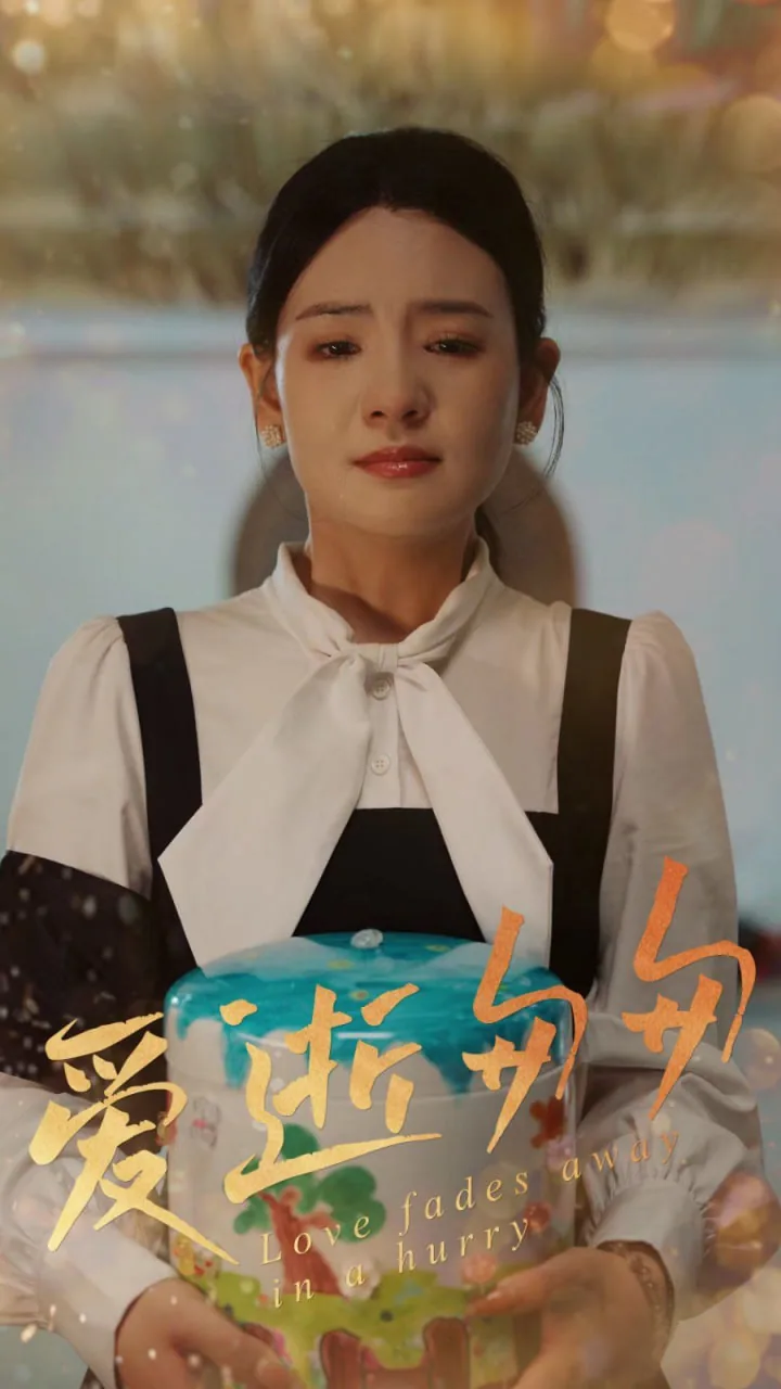 爱逝匆匆属于什么剧