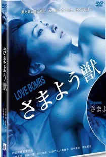 爱情炸弹在线观看