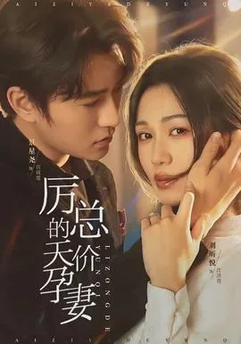 总裁的天价宠妻历浅洛小说