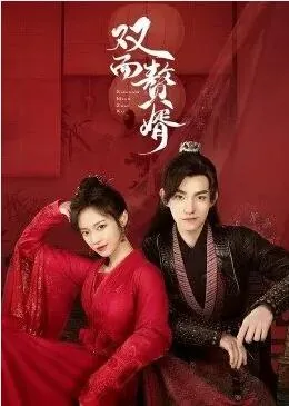 双面赘婿全集在线观看