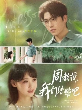 周教授我们结婚吧 电视剧 演员介绍