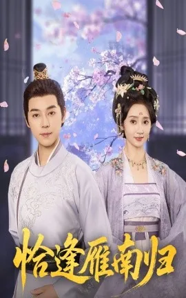 恰逢雁南归电视剧免费观看完整版