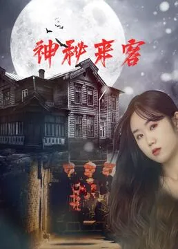 神秘来客免费观看2014