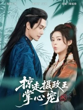 掠走摄政王掌心宠女主是谁