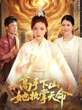 高手下山,她执掌天命什么小说