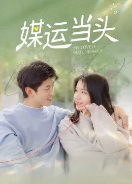 媒运当头在线观看