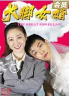 大脚女婿高清免费下载