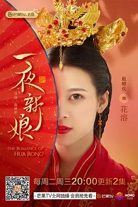 一夜新娘第一季是小说改编的吗