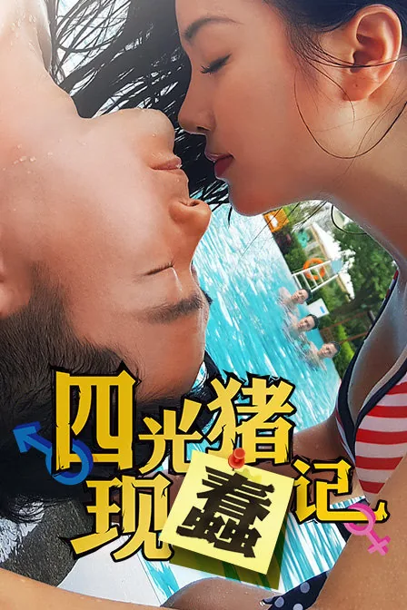 四光猪现蠢记剧集