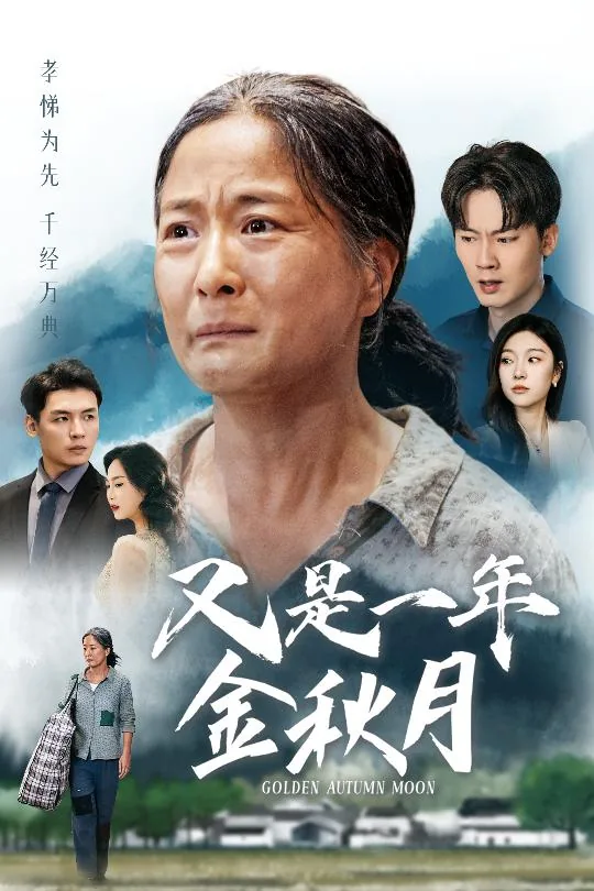 又是一年金秋月愿你花好月长久