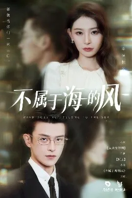 不属于海的风小说在线阅读