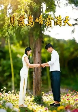 月落乌啼霜满天看到了什么的月亮