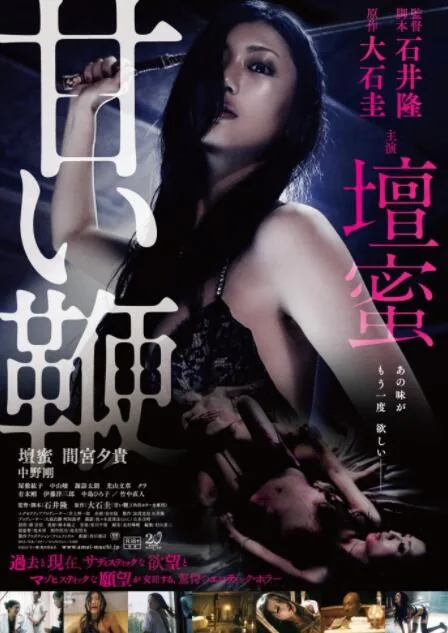 甜蜜皮鞭主角是谁扮演的