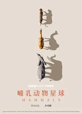 哺乳动物星球 纪录片