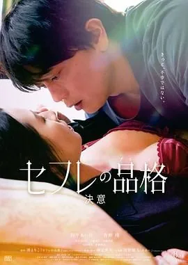 性伴侣含义
