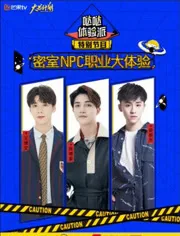 体验派表现派