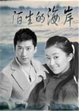 陌生的海岸 电视剧
