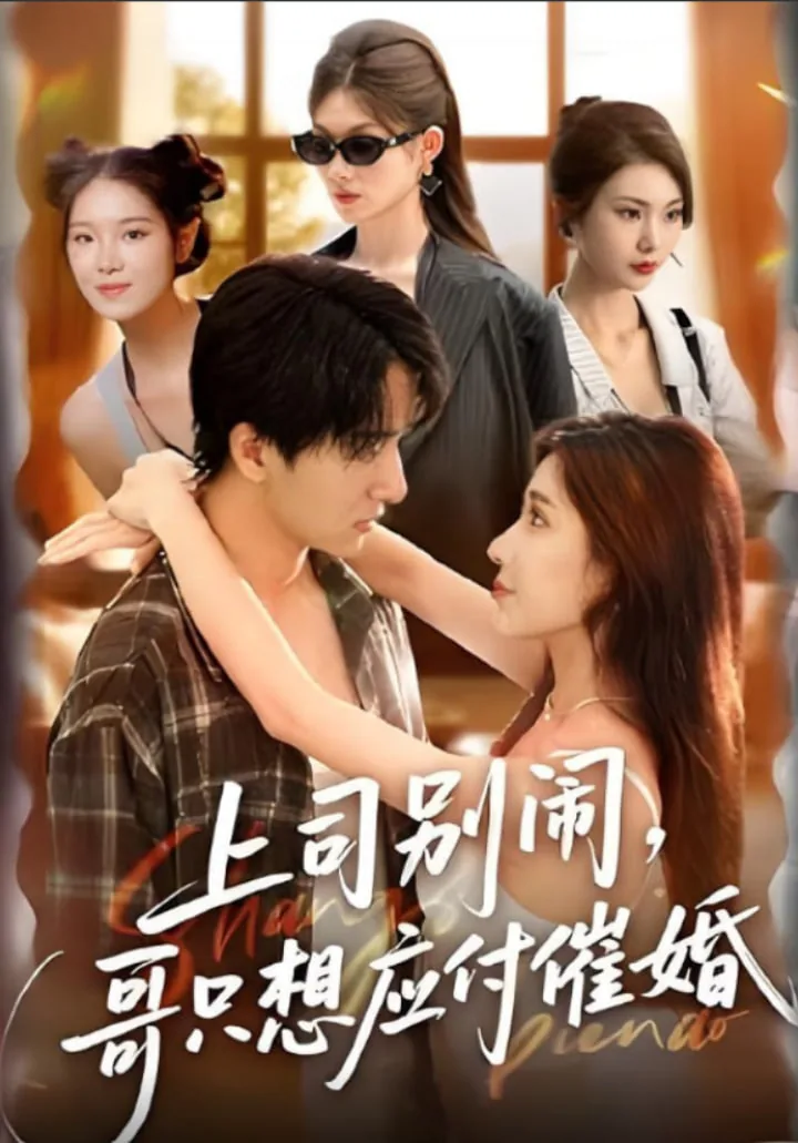 上司别闹哥只想应付催婚短剧免费观看全集