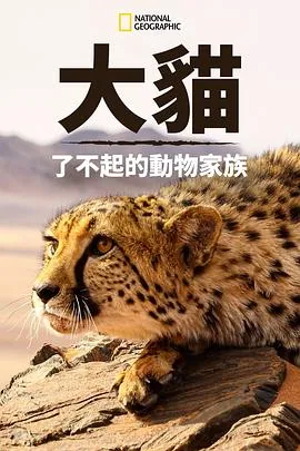 猫科动物秒懂百科