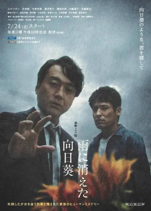 雨中消失的向日葵电影