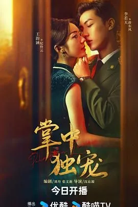 掌中独宠女主没脑子怎么办