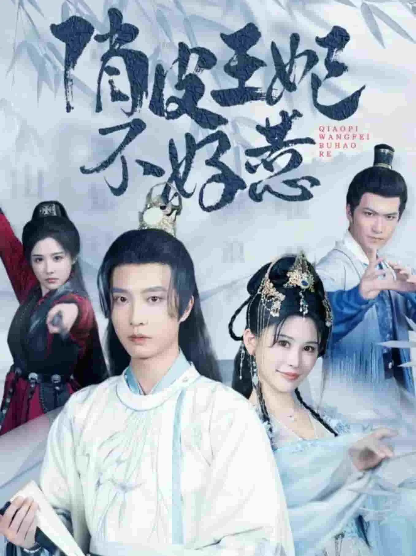 俏皮王妃不好惹演员表