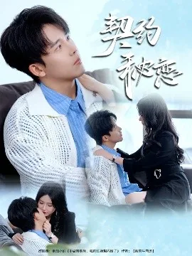 契约秘恋林澈秦栀